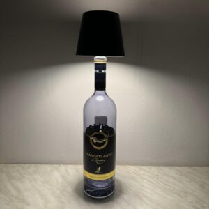 Lampa led multicolor Beluga Transatlantic